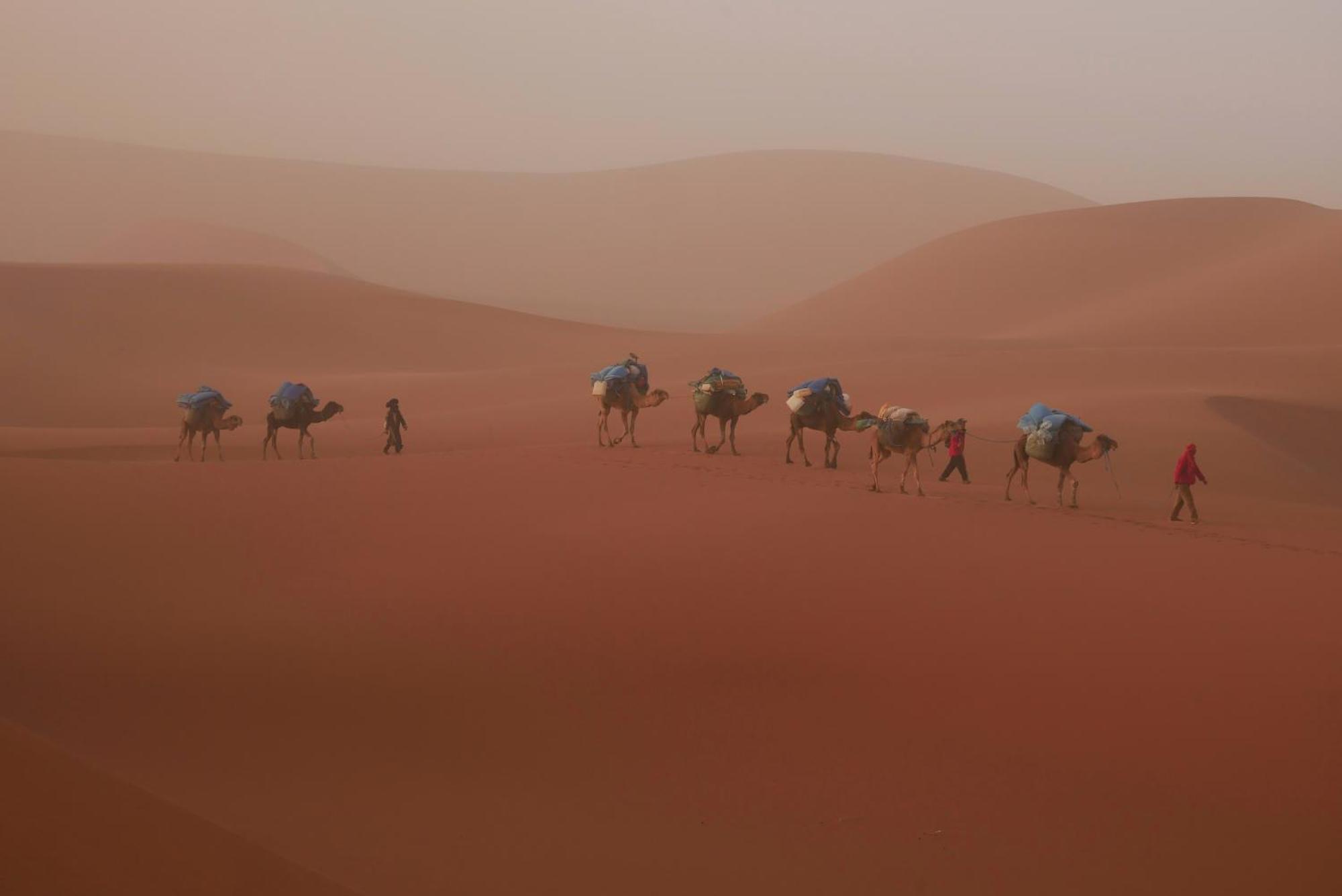 Jardin Du Desert Мхамид Екстериор снимка