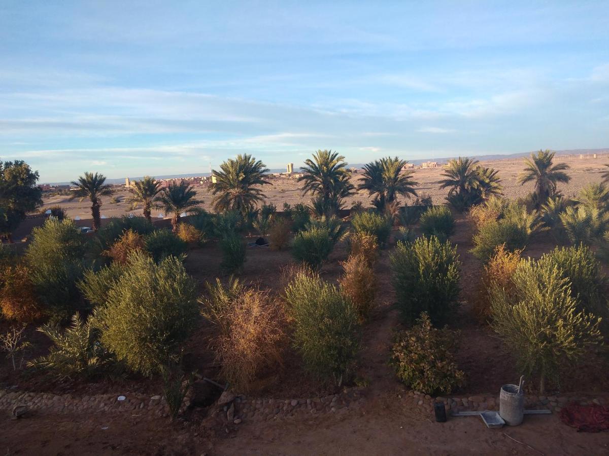 Jardin Du Desert Мхамид Екстериор снимка